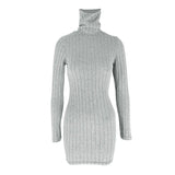 Women's High Neck Ribbed Dress