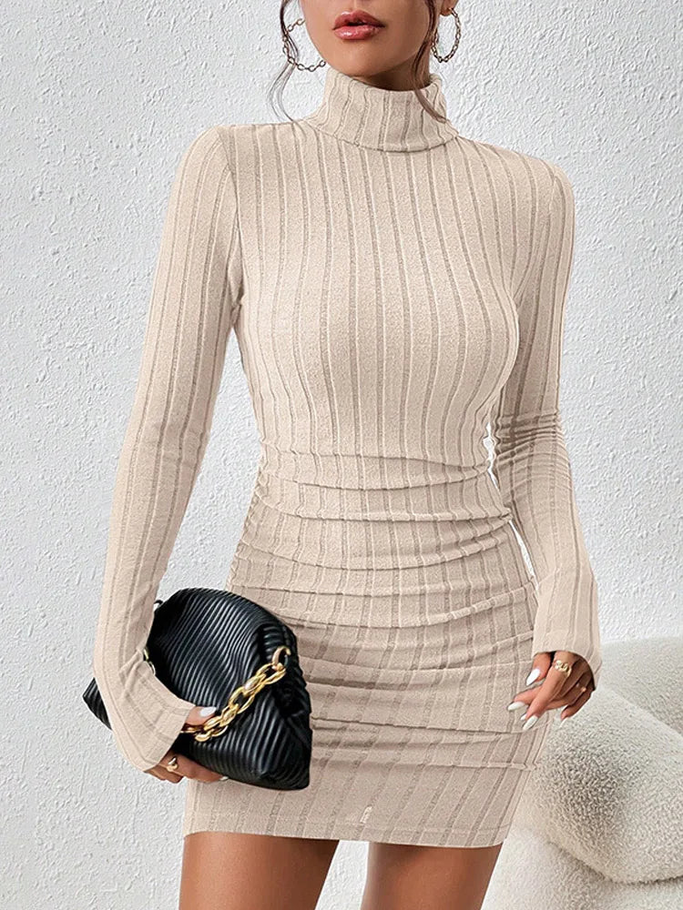 Women's High Neck Ribbed Dress