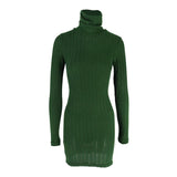 Women's High Neck Ribbed Dress